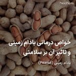خواص درمانی بادام زمینی و تاثیر آن بر سلامتی